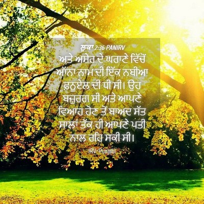 Picture 04 - ਲੂਕਾ 2:36 PANIRV - ਅਤੇ ਅਸ਼ੇਰ ਦੇ ਘਰਾਣੇ - Bible Verse Picture