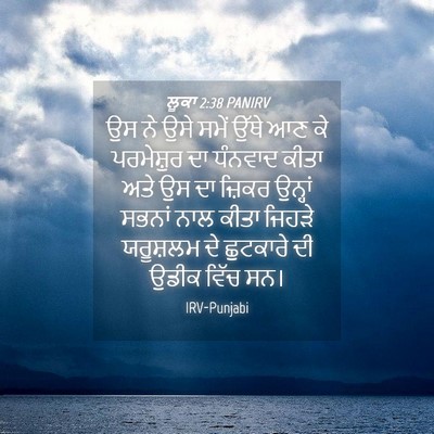 Picture 04 - ਲੂਕਾ 2:38 PANIRV - ਉਸ ਨੇ ਉਸੇ ਸਮੇਂ ਉੱਥੇ - Bible Verse Picture
