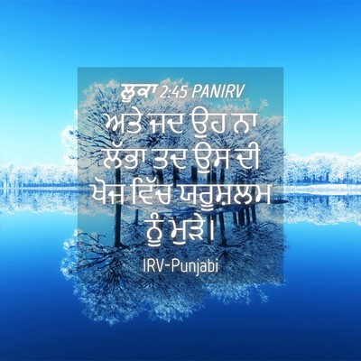 Picture 04 - ਲੂਕਾ 2:45 PANIRV - ਅਤੇ ਜਦ ਉਹ ਨਾ ਲੱਭਾ - Bible Verse Picture