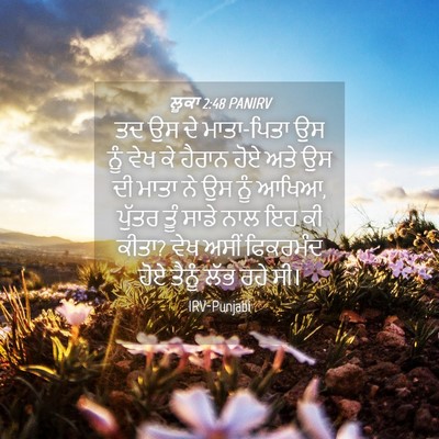 Picture 04 - ਲੂਕਾ 2:48 PANIRV - ਤਦ ਉਸ ਦੇ ਮਾਤਾ-ਪਿਤਾ - Bible Verse Picture