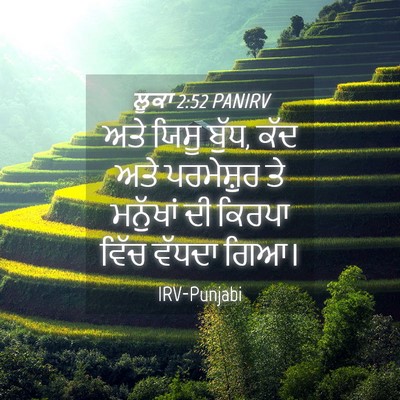 Picture 04 - ਲੂਕਾ 2:52 PANIRV - ਅਤੇ ਯਿਸੂ ਬੁੱਧ, ਕੱਦ - Bible Verse Picture