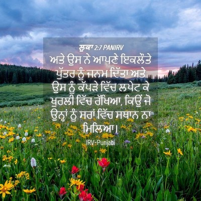 Picture 04 - ਲੂਕਾ 2:7 PANIRV - ਅਤੇ ਉਸ ਨੇ ਆਪਣੇ - Bible Verse Picture