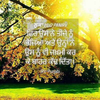 Picture 04 - ਲੂਕਾ 20:12 PANIRV - ਫਿਰ ਉਸ ਨੇ ਤੀਜੇ ਨੂੰ - Bible Verse Picture
