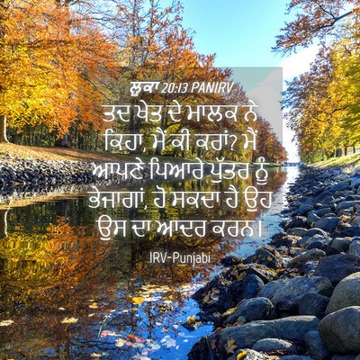 Picture 04 - ਲੂਕਾ 20:13 PANIRV - ਤਦ ਖੇਤ ਦੇ ਮਾਲਕ ਨੇ - Bible Verse Picture