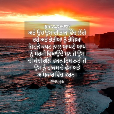 Picture 04 - ਲੂਕਾ 20:20 PANIRV - ਅਤੇ ਉਹ ਉਸ ਦੀ ਤਾੜ - Bible Verse Picture