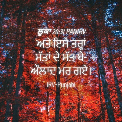 Picture 04 - ਲੂਕਾ 20:31 PANIRV - ਅਤੇ ਇਸੇ ਤਰ੍ਹਾਂ - Bible Verse Picture