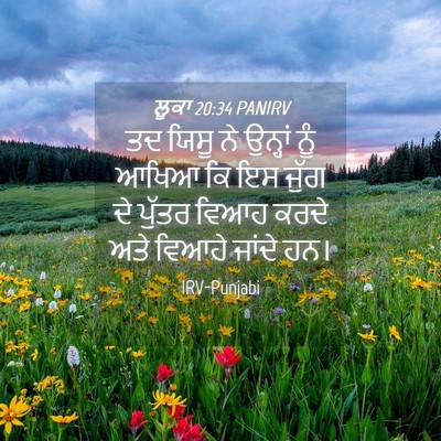Picture 04 - ਲੂਕਾ 20:34 PANIRV - ਤਦ ਯਿਸੂ ਨੇ ਉਨ੍ਹਾਂ - Bible Verse Picture