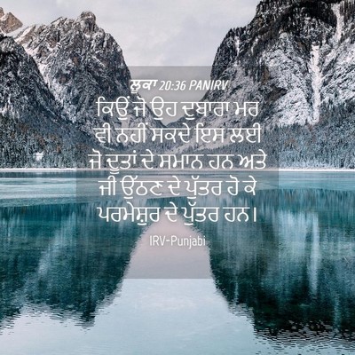 Picture 04 - ਲੂਕਾ 20:36 PANIRV - ਕਿਉਂ ਜੋ ਉਹ ਦੁਬਾਰਾ - Bible Verse Picture