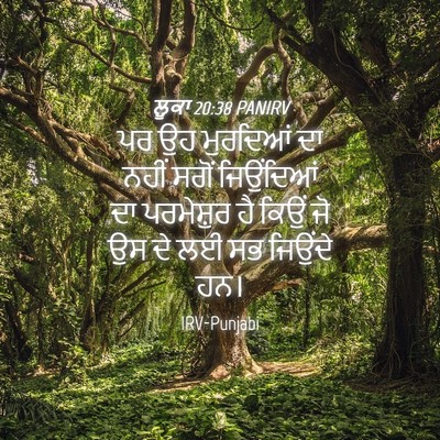 Picture 04 - ਲੂਕਾ 20:38 PANIRV - ਪਰ ਉਹ ਮੁਰਦਿਆਂ ਦਾ - Bible Verse Picture