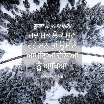 Picture 04 - ਲੂਕਾ 20:45 PANIRV - ਜਦ ਸਭ ਲੋਕ ਸੁਣ ਰਹੇ - Bible Verse Picture