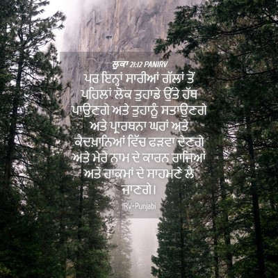 Picture 04 - ਲੂਕਾ 21:12 PANIRV - ਪਰ ਇਨ੍ਹਾਂ ਸਾਰੀਆਂ - Bible Verse Picture