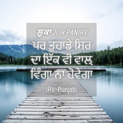 Picture 04 - ਲੂਕਾ 21:18 PANIRV - ਪਰ ਤੁਹਾਡੇ ਸਿਰ ਦਾ - Bible Verse Picture