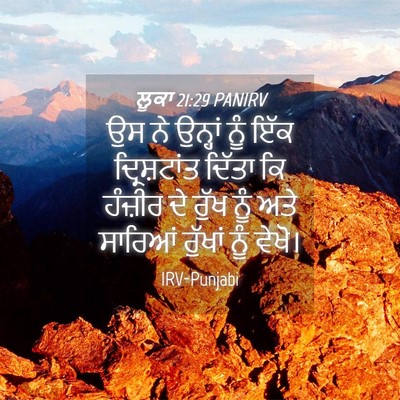 Picture 04 - ਲੂਕਾ 21:29 PANIRV - ਉਸ ਨੇ ਉਨ੍ਹਾਂ ਨੂੰ - Bible Verse Picture