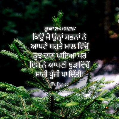 Picture 04 - ਲੂਕਾ 21:4 PANIRV - ਕਿਉਂ ਜੋ ਉਨ੍ਹਾਂ - Bible Verse Picture