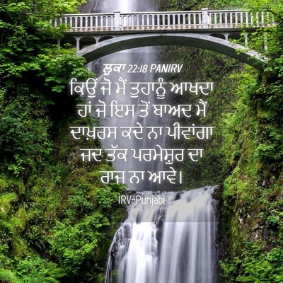 Picture 04 - ਲੂਕਾ 22:18 PANIRV - ਕਿਉਂ ਜੋ ਮੈਂ - Bible Verse Picture