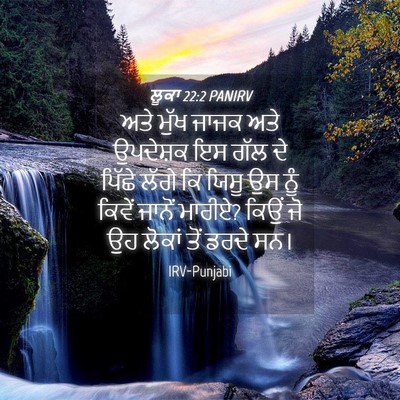 Picture 04 - ਲੂਕਾ 22:2 PANIRV - ਅਤੇ ਮੁੱਖ ਜਾਜਕ ਅਤੇ - Bible Verse Picture