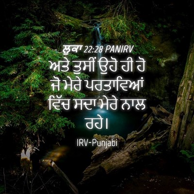Picture 04 - ਲੂਕਾ 22:28 PANIRV - ਅਤੇ ਤੁਸੀਂ ਉਹੋ ਹੀ ਹੋ - Bible Verse Picture