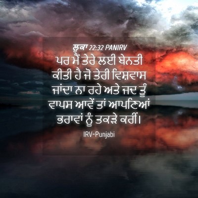 Picture 04 - ਲੂਕਾ 22:32 PANIRV - ਪਰ ਮੈਂ ਤੇਰੇ ਲਈ - Bible Verse Picture