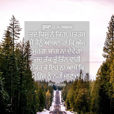 Picture 04 - ਲੂਕਾ 22:34 PANIRV - ਤਦ ਯਿਸੂ ਨੇ ਕਿਹਾ, - Bible Verse Picture