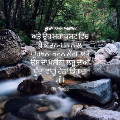 Picture 04 - ਲੂਕਾ 22:44 PANIRV - ਅਤੇ ਉਹ ਮਹਾਂ ਕਸ਼ਟ - Bible Verse Picture
