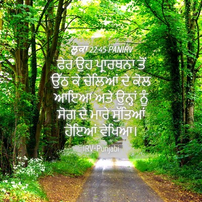 Picture 04 - ਲੂਕਾ 22:45 PANIRV - ਫੇਰ ਉਹ ਪ੍ਰਾਰਥਨਾ - Bible Verse Picture