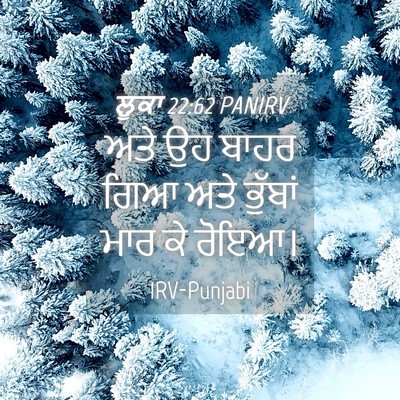Picture 04 - ਲੂਕਾ 22:62 PANIRV - ਅਤੇ ਉਹ ਬਾਹਰ ਗਿਆ ਅਤੇ - Bible Verse Picture