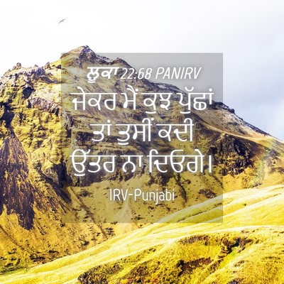 Picture 04 - ਲੂਕਾ 22:68 PANIRV - ਜੇਕਰ ਮੈਂ ਕੁਝ - Bible Verse Picture