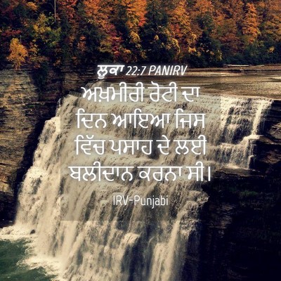 Picture 04 - ਲੂਕਾ 22:7 PANIRV - ਅਖ਼ਮੀਰੀ ਰੋਟੀ ਦਾ - Bible Verse Picture