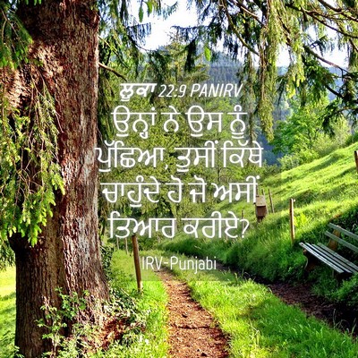 Picture 04 - ਲੂਕਾ 22:9 PANIRV - ਉਨ੍ਹਾਂ ਨੇ ਉਸ ਨੂੰ - Bible Verse Picture
