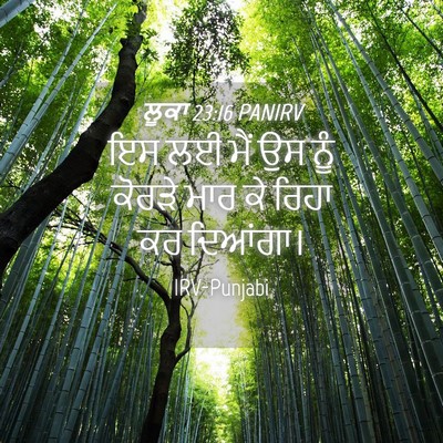 Picture 04 - ਲੂਕਾ 23:16 PANIRV - ਇਸ ਲਈ ਮੈਂ ਉਸ ਨੂੰ - Bible Verse Picture