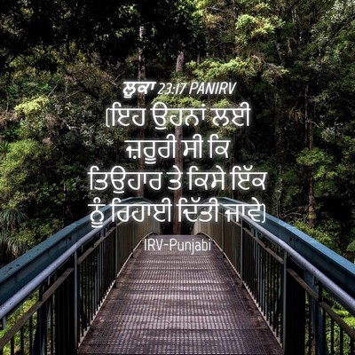 Picture 04 - ਲੂਕਾ 23:17 PANIRV - (ਇਹ ਉਹਨਾਂ ਲਈ ਜ਼ਰੂਰੀ - Bible Verse Picture
