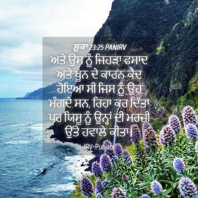 Picture 04 - ਲੂਕਾ 23:25 PANIRV - ਅਤੇ ਉਸ ਨੂੰ ਜਿਹੜਾ - Bible Verse Picture