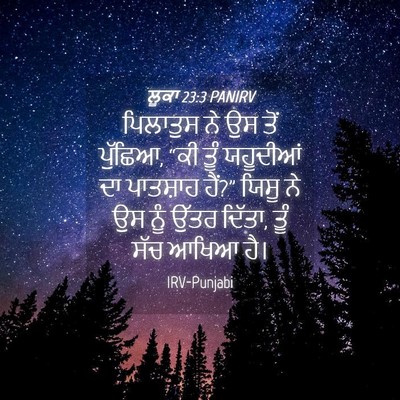Picture 04 - ਲੂਕਾ 23:3 PANIRV - ਪਿਲਾਤੁਸ ਨੇ ਉਸ ਤੋਂ - Bible Verse Picture