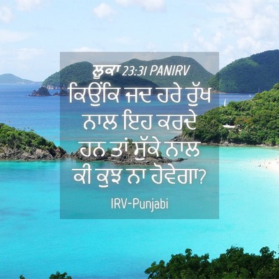 Picture 04 - ਲੂਕਾ 23:31 PANIRV - ਕਿਉਂਕਿ ਜਦ ਹਰੇ ਰੁੱਖ - Bible Verse Picture