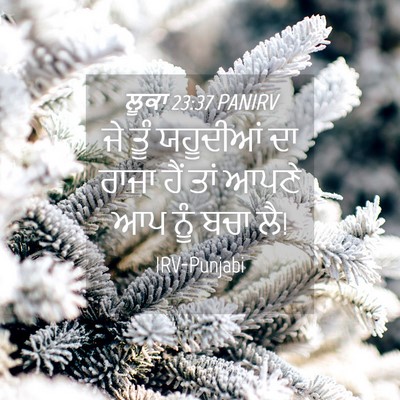 Picture 04 - ਲੂਕਾ 23:37 PANIRV - ਜੇ ਤੂੰ ਯਹੂਦੀਆਂ ਦਾ - Bible Verse Picture