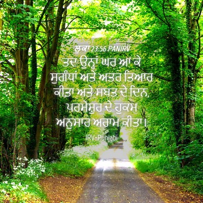 Picture 04 - ਲੂਕਾ 23:56 PANIRV - ਤਦ ਉਨ੍ਹਾਂ ਘਰ ਆ ਕੇ - Bible Verse Picture