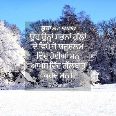 Picture 04 - ਲੂਕਾ 24:14 PANIRV - ਉਹ ਉਨ੍ਹਾਂ ਸਭਨਾਂ - Bible Verse Picture