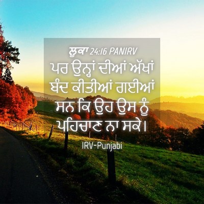 Picture 04 - ਲੂਕਾ 24:16 PANIRV - ਪਰ ਉਨ੍ਹਾਂ ਦੀਆਂ - Bible Verse Picture
