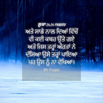 Picture 04 - ਲੂਕਾ 24:24 PANIRV - ਅਤੇ ਸਾਡੇ ਨਾਲ ਦਿਆਂ - Bible Verse Picture