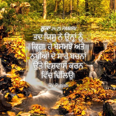 Picture 04 - ਲੂਕਾ 24:25 PANIRV - ਤਦ ਯਿਸੂ ਨੇ ਉਨ੍ਹਾਂ - Bible Verse Picture