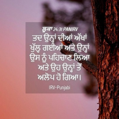Picture 04 - ਲੂਕਾ 24:31 PANIRV - ਤਦ ਉਨ੍ਹਾਂ ਦੀਆਂ - Bible Verse Picture
