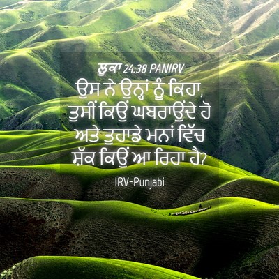 Picture 04 - ਲੂਕਾ 24:38 PANIRV - ਉਸ ਨੇ ਉਨ੍ਹਾਂ ਨੂੰ - Bible Verse Picture
