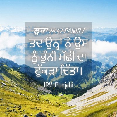 Picture 04 - ਲੂਕਾ 24:42 PANIRV - ਤਦ ਉਨ੍ਹਾਂ ਨੇ ਉਸ ਨੂੰ - Bible Verse Picture