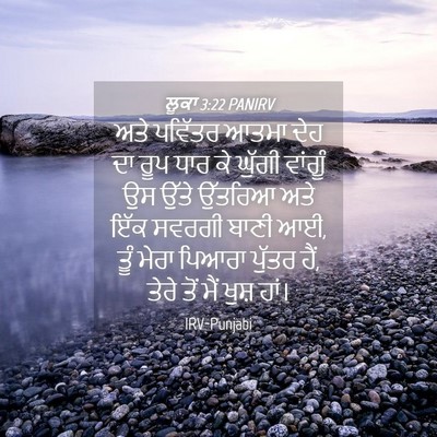 Picture 04 - ਲੂਕਾ 3:22 PANIRV - ਅਤੇ ਪਵਿੱਤਰ ਆਤਮਾ - Bible Verse Picture