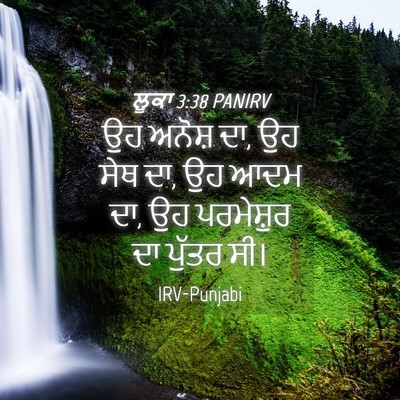 Picture 04 - ਲੂਕਾ 3:38 PANIRV - ਉਹ ਅਨੋਸ਼ ਦਾ, ਉਹ ਸੇਥ - Bible Verse Picture