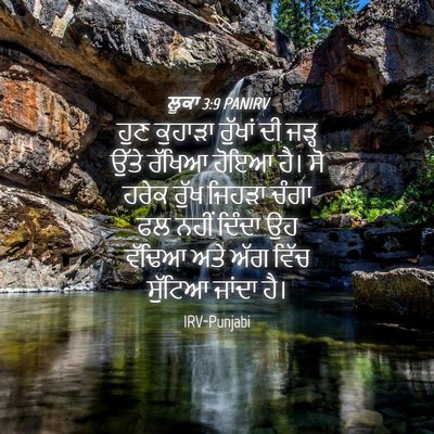 Picture 04 - ਲੂਕਾ 3:9 PANIRV - ਹੁਣ ਕੁਹਾੜਾ ਰੁੱਖਾਂ - Bible Verse Picture