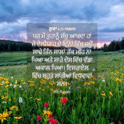 Picture 04 - ਲੂਕਾ 4:25 PANIRV - ਪਰ ਮੈਂ ਤੁਹਾਨੂੰ ਸੱਚ - Bible Verse Picture