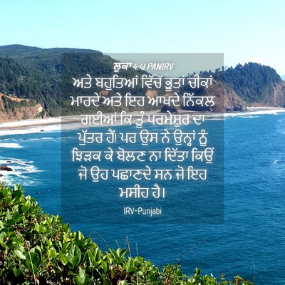 Picture 04 - ਲੂਕਾ 4:41 PANIRV - ਅਤੇ ਬਹੁਤਿਆਂ - Bible Verse Picture