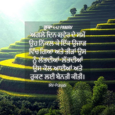 Picture 04 - ਲੂਕਾ 4:42 PANIRV - ਅਗਲੇ ਦਿਨ ਸਵੇਰ ਦੇ - Bible Verse Picture