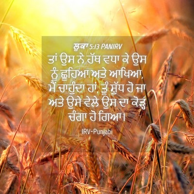 Picture 04 - ਲੂਕਾ 5:13 PANIRV - ਤਾਂ ਉਸ ਨੇ ਹੱਥ ਵਧਾ - Bible Verse Picture